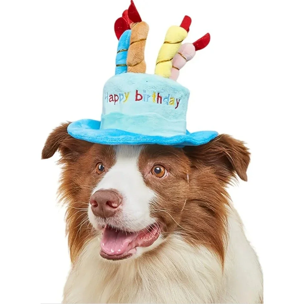 Cute Pet Party Hat for Dogs & Cats